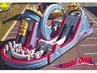 Obstacle Courses Image
