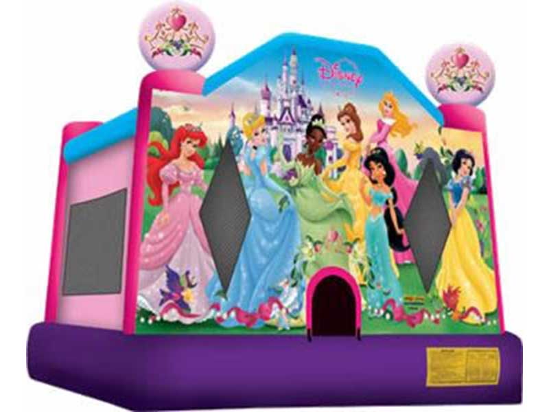 Disney Princess Bouncer Image