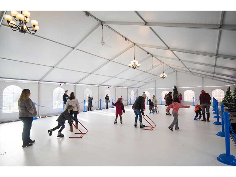 Iceless Ice Skating (32' X 60') Image