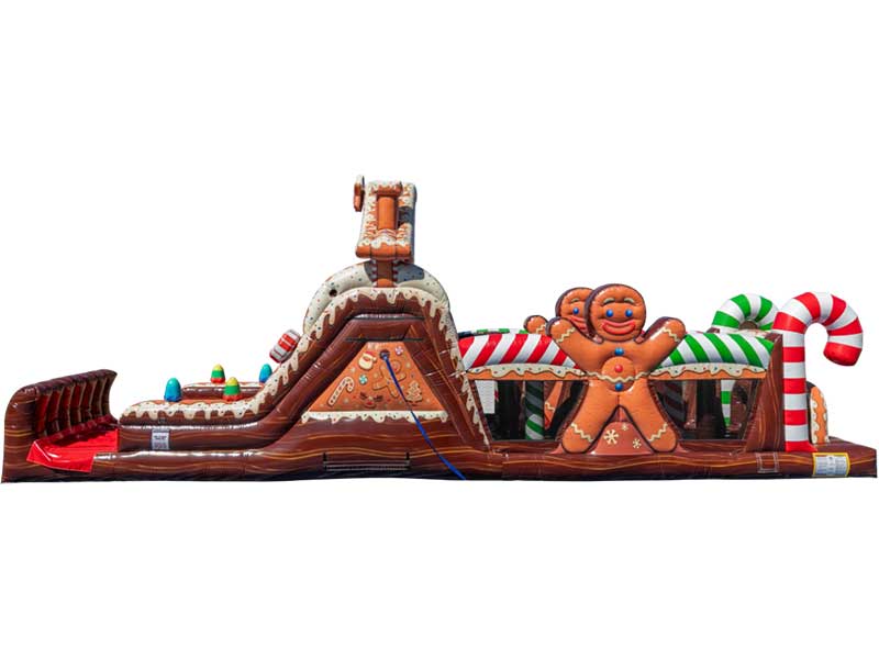 Gingerbread Obstacle Course  Image