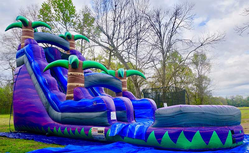 18' Purple Crush Water Slide with Pool Image