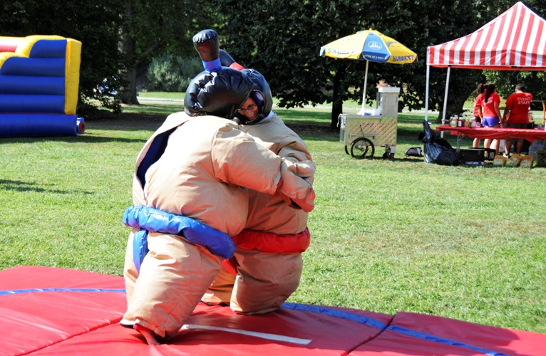 Sumo Wrestling Image